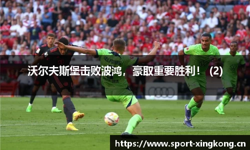 沃尔夫斯堡击败波鸿，豪取重要胜利！ (2)
