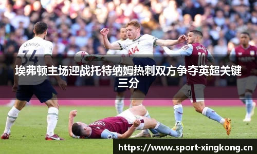 埃弗顿主场迎战托特纳姆热刺双方争夺英超关键三分